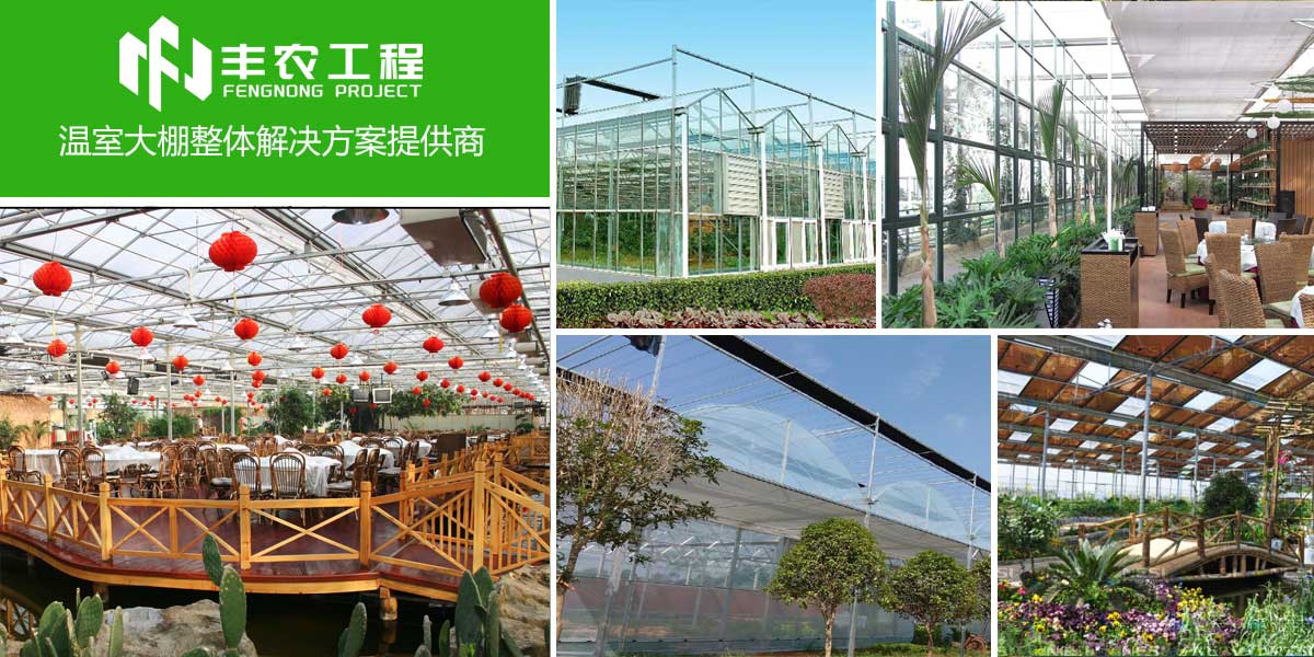 专业创造价值,服务赢得未来